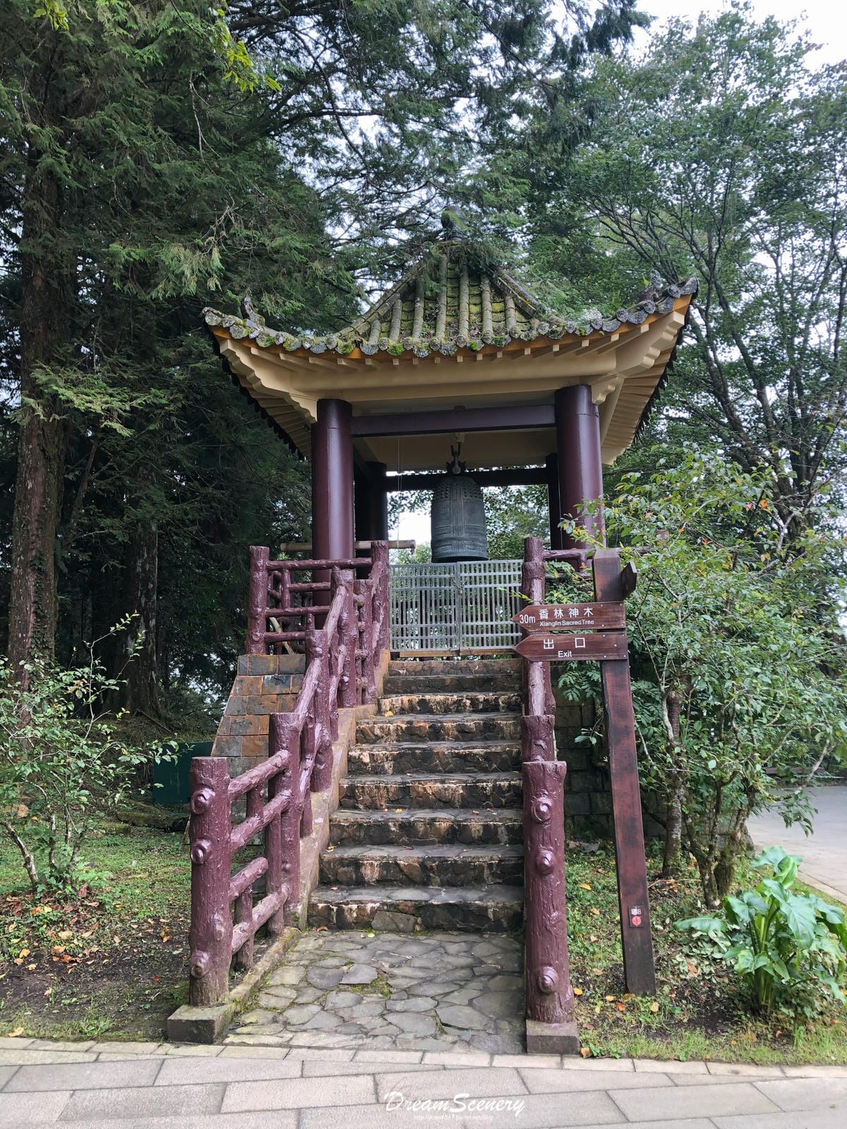 阿里山 阿里山