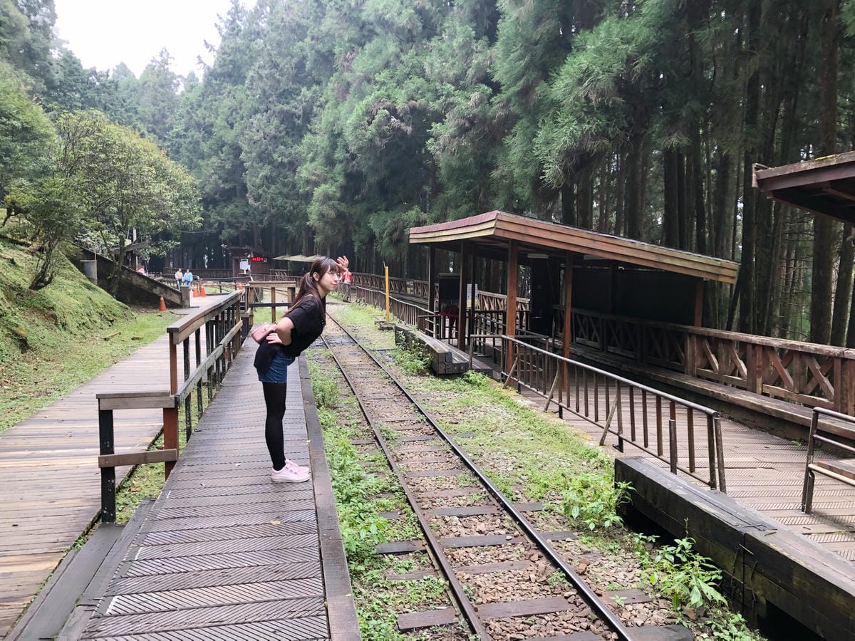 阿里山 阿里山