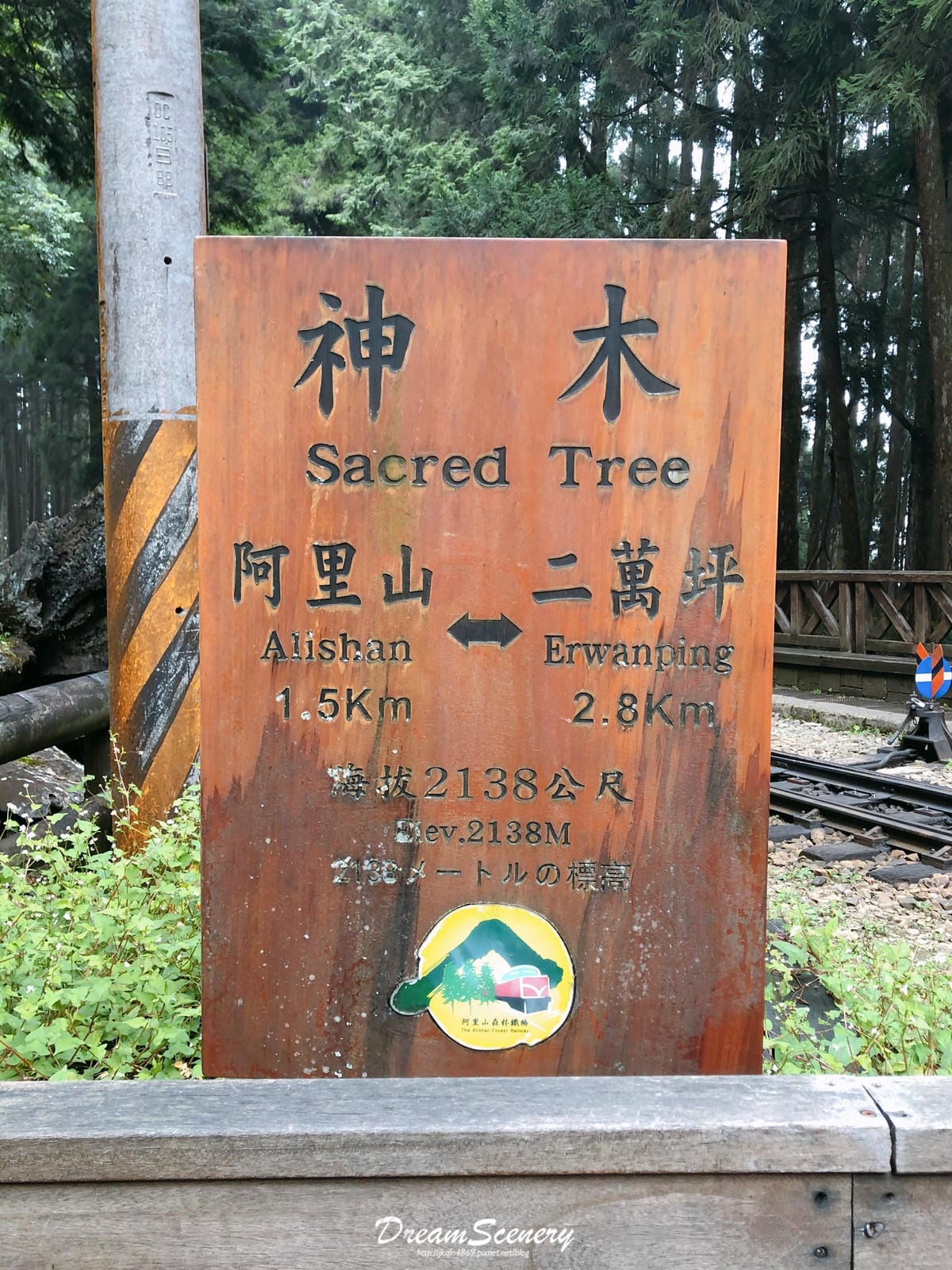 阿里山 阿里山