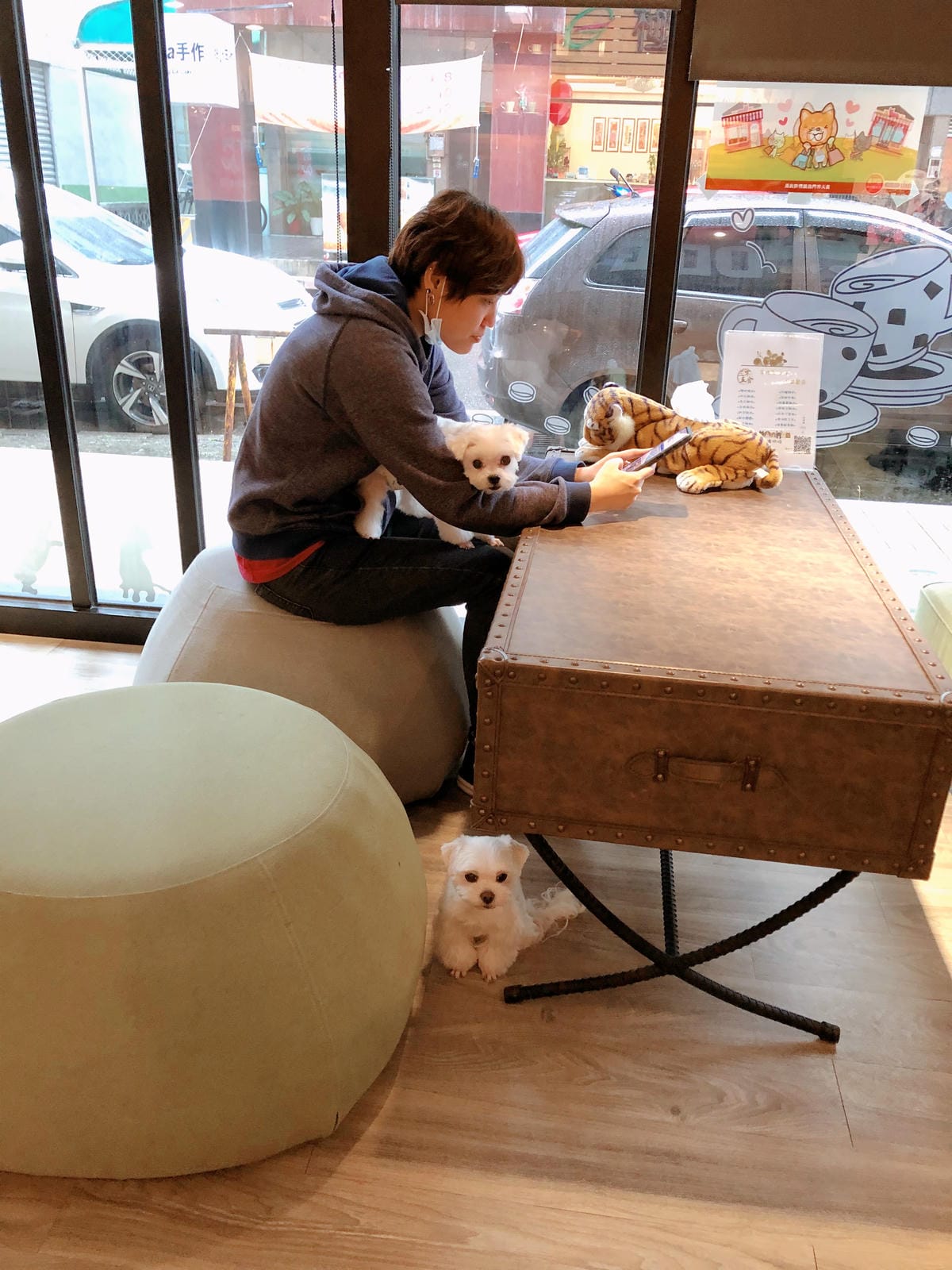 DOG SPACE 寵物空間 -礁溪寵物咖啡廳 DOG SPACE 寵物空間 -礁溪寵物咖啡廳