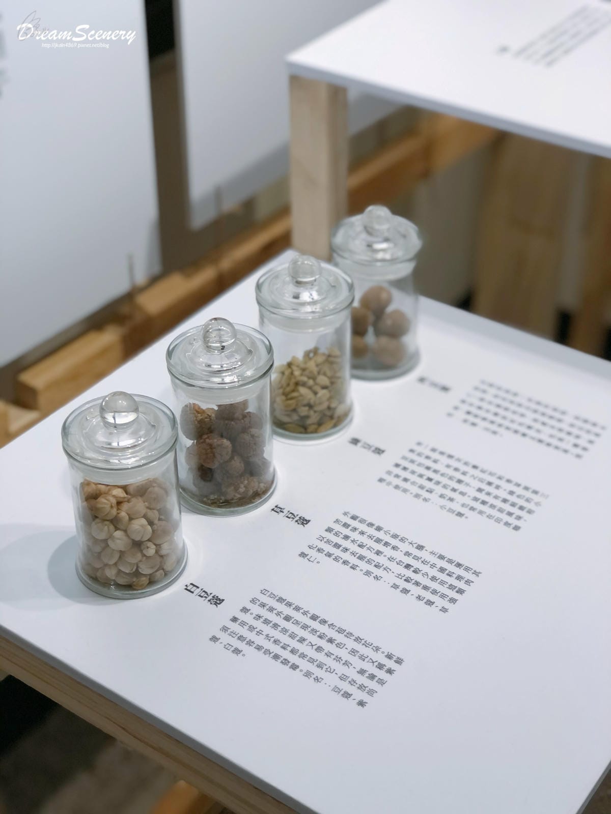 2020本草派對-Spice Your Life- 2020本草派對-Spice Your Life-