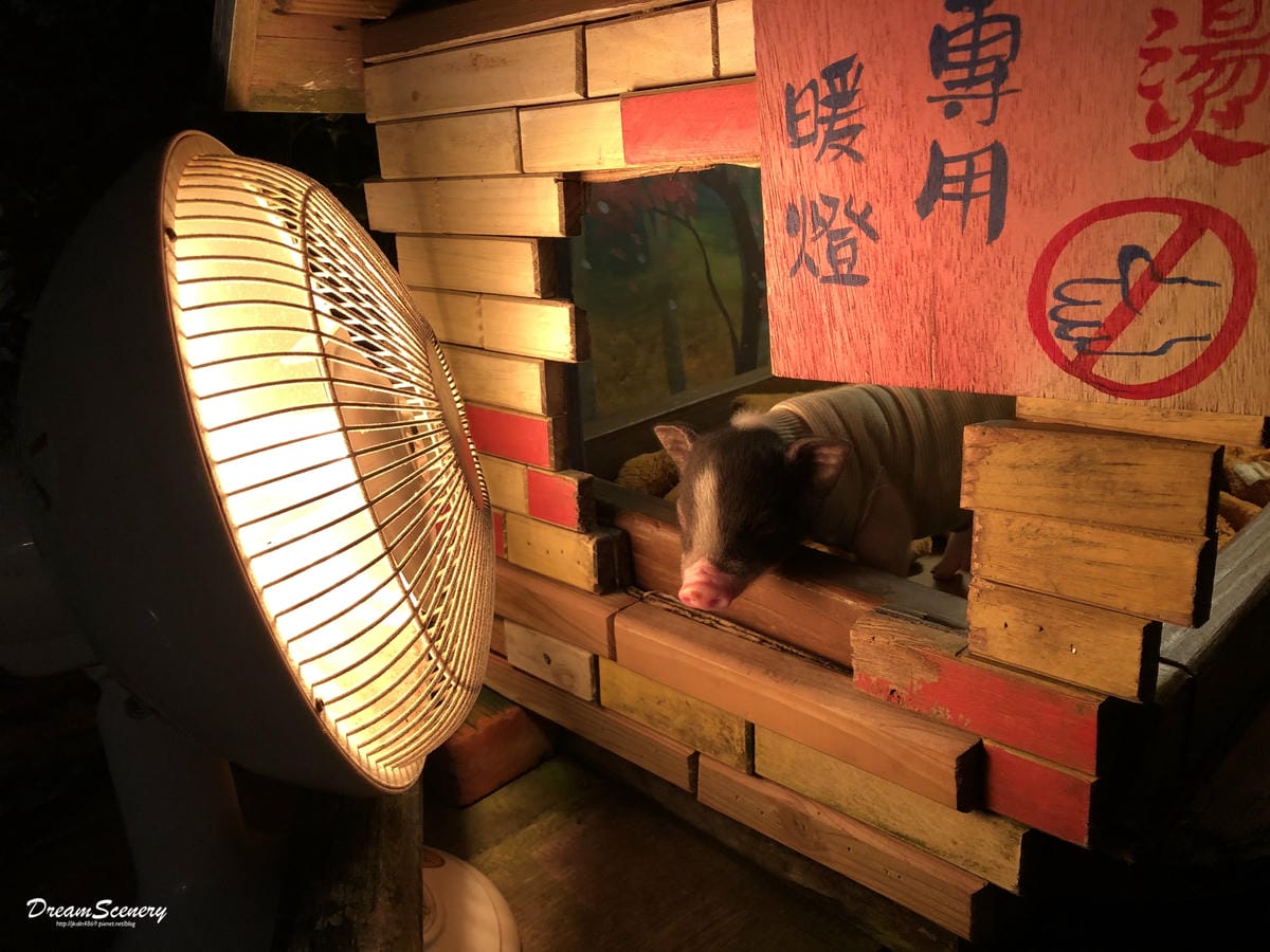 星月天空景觀餐廳 星月天空景觀餐廳
