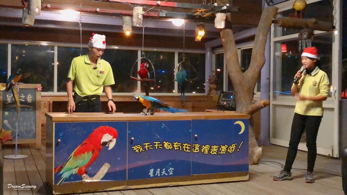 星月天空景觀餐廳 星月天空景觀餐廳