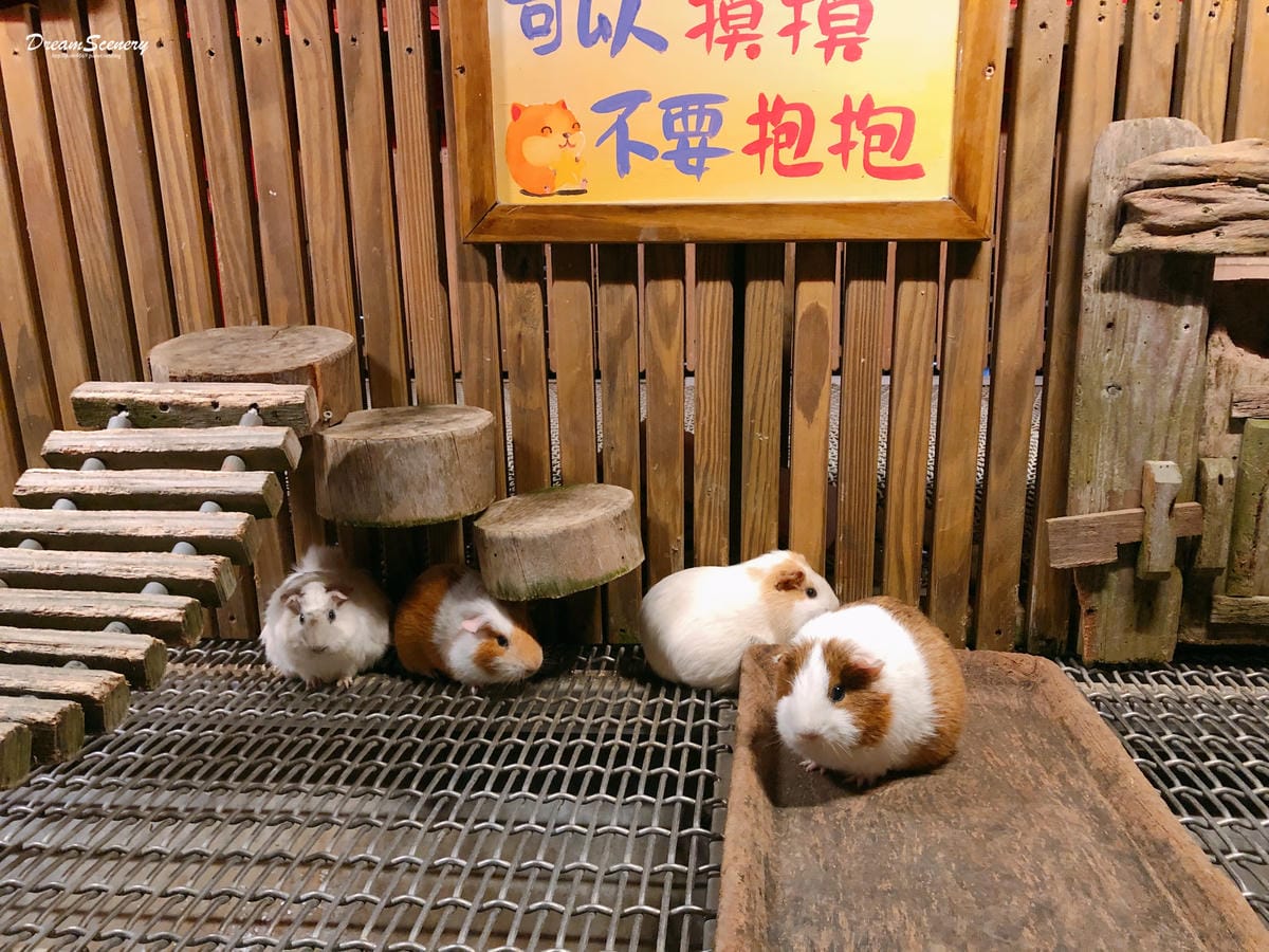 星月天空景觀餐廳 星月天空景觀餐廳