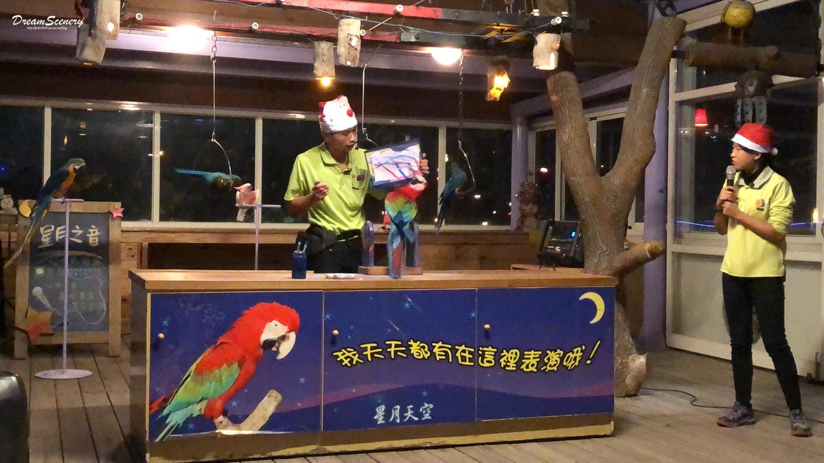 南投▴猴探井│夢幻城市夜景│夜間小型動物樂園│星月天空景觀餐廳