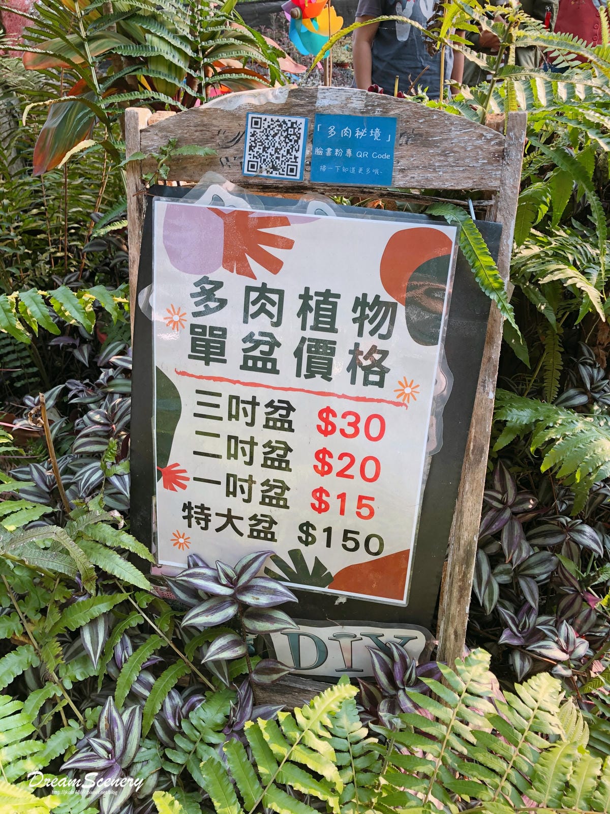 多肉祕境 多肉祕境