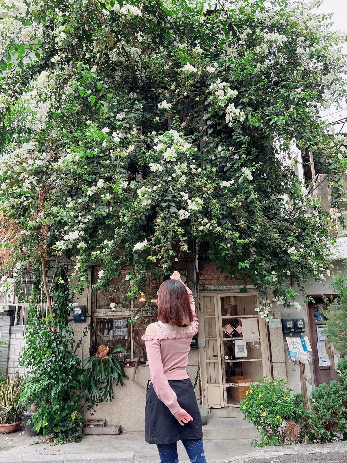 餐桌上的鹿早 餐桌上的鹿早