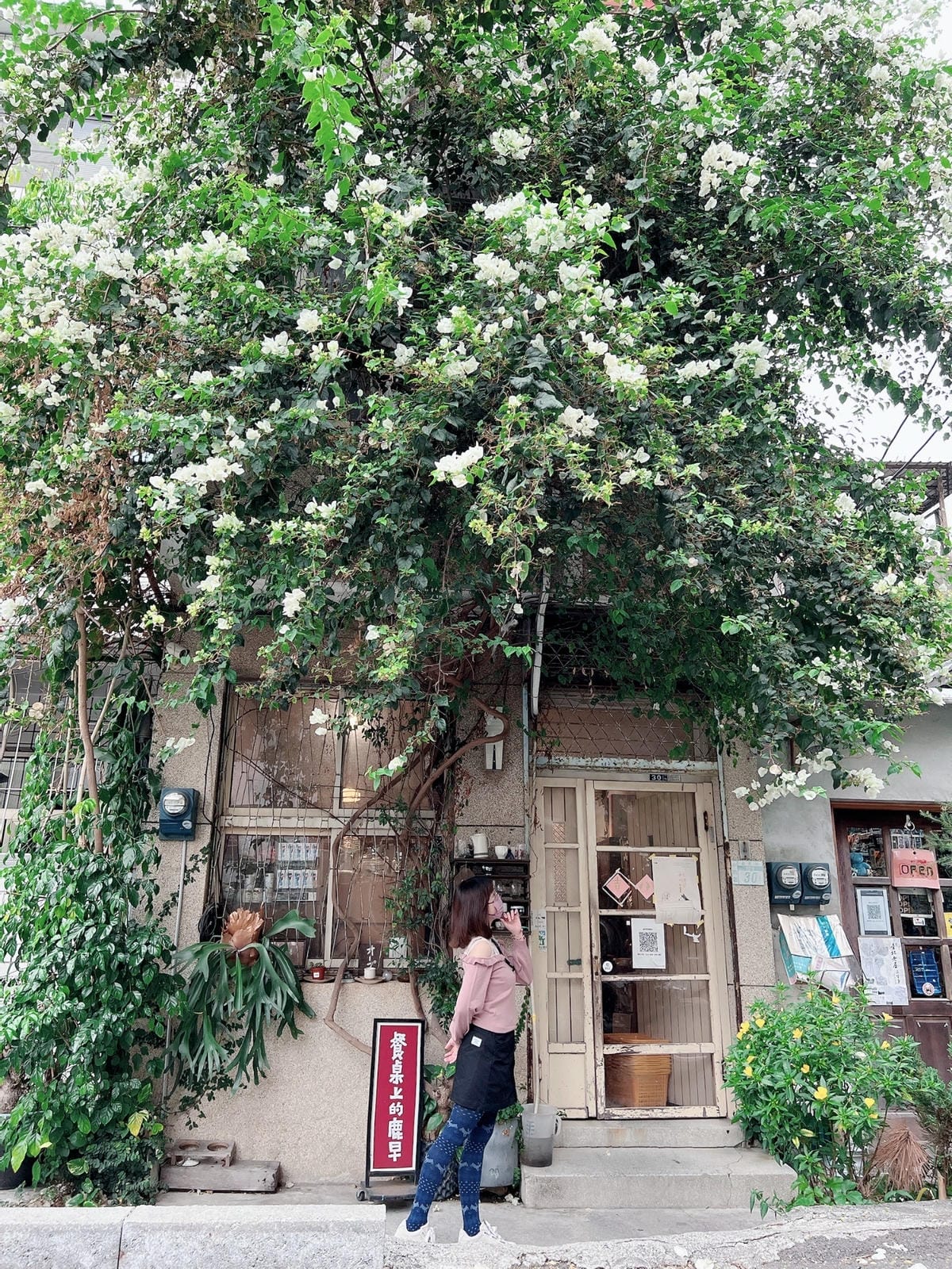 餐桌上的鹿早 餐桌上的鹿早