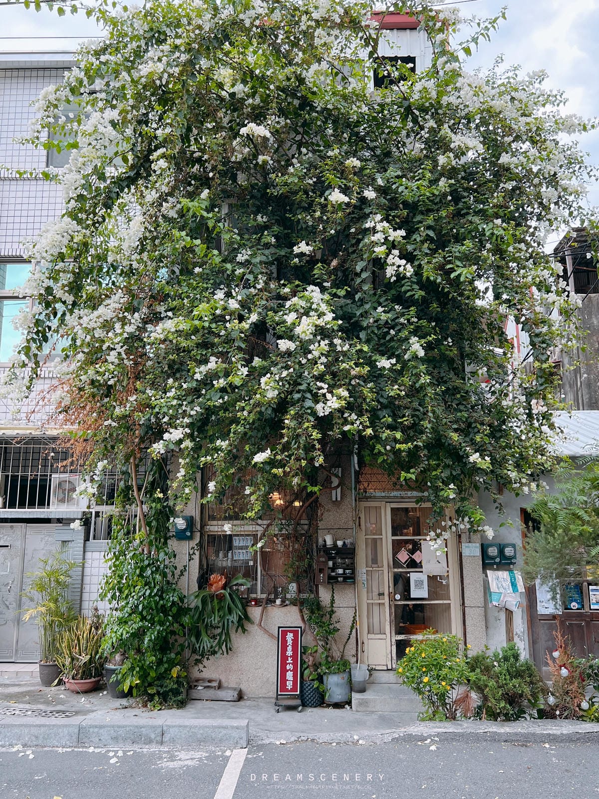 島鹿喫茶 島鹿喫茶