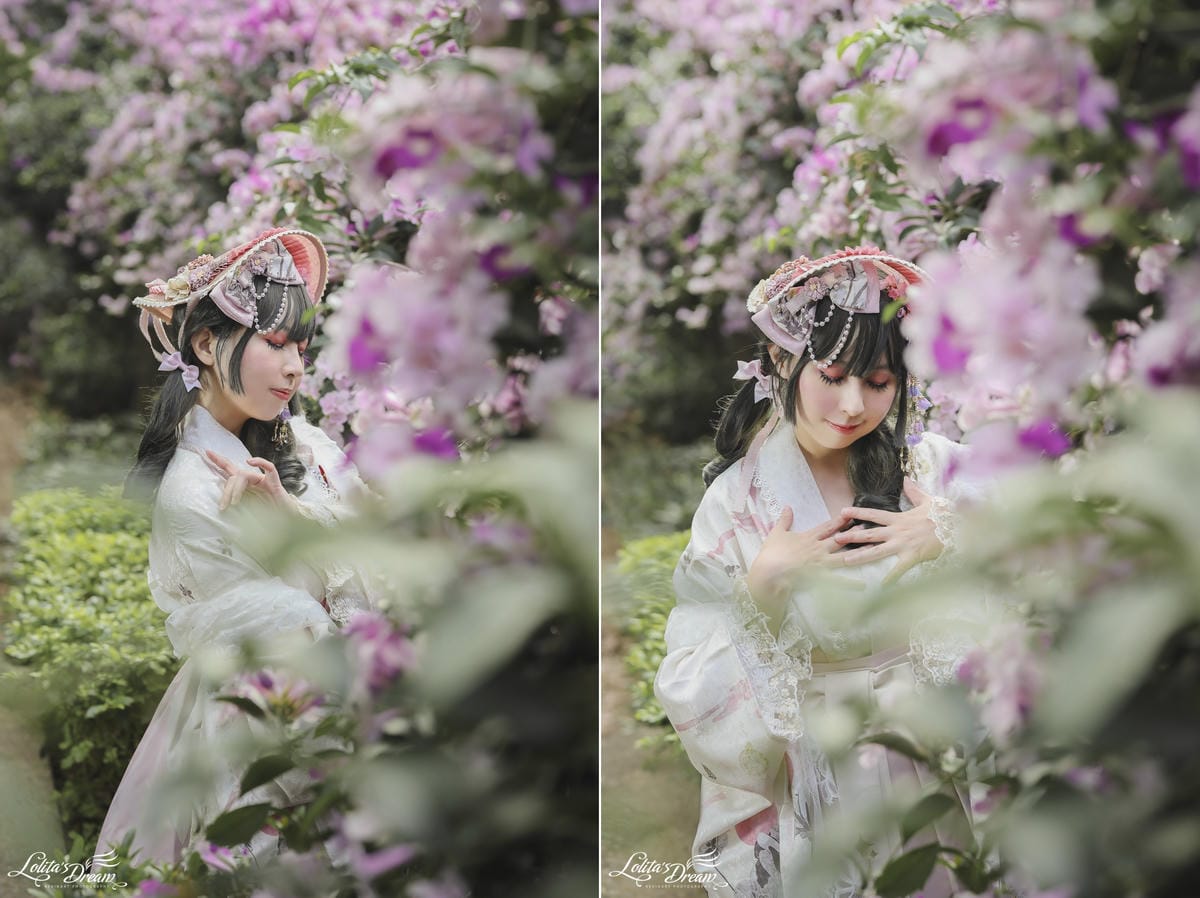 泰山蒜香藤 泰山蒜香藤