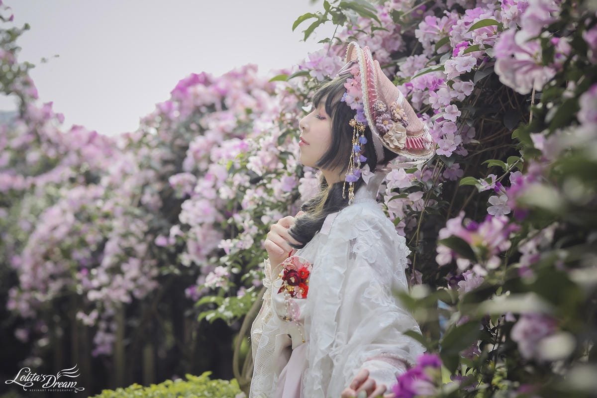 泰山蒜香藤 泰山蒜香藤