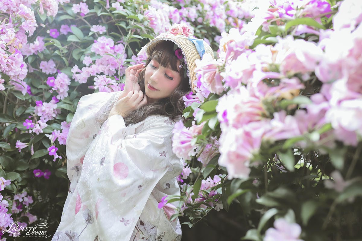 泰山蒜香藤 泰山蒜香藤