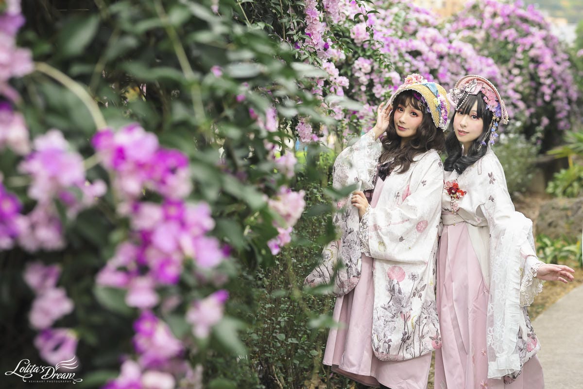 泰山蒜香藤 泰山蒜香藤