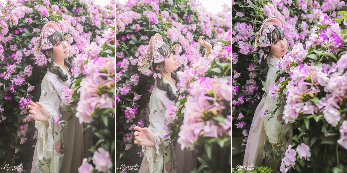 泰山蒜香藤 泰山蒜香藤