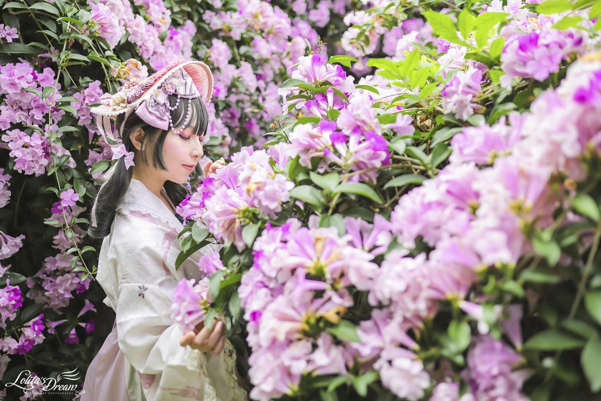 泰山蒜香藤 泰山蒜香藤