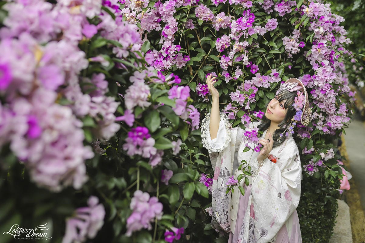 泰山蒜香藤 泰山蒜香藤