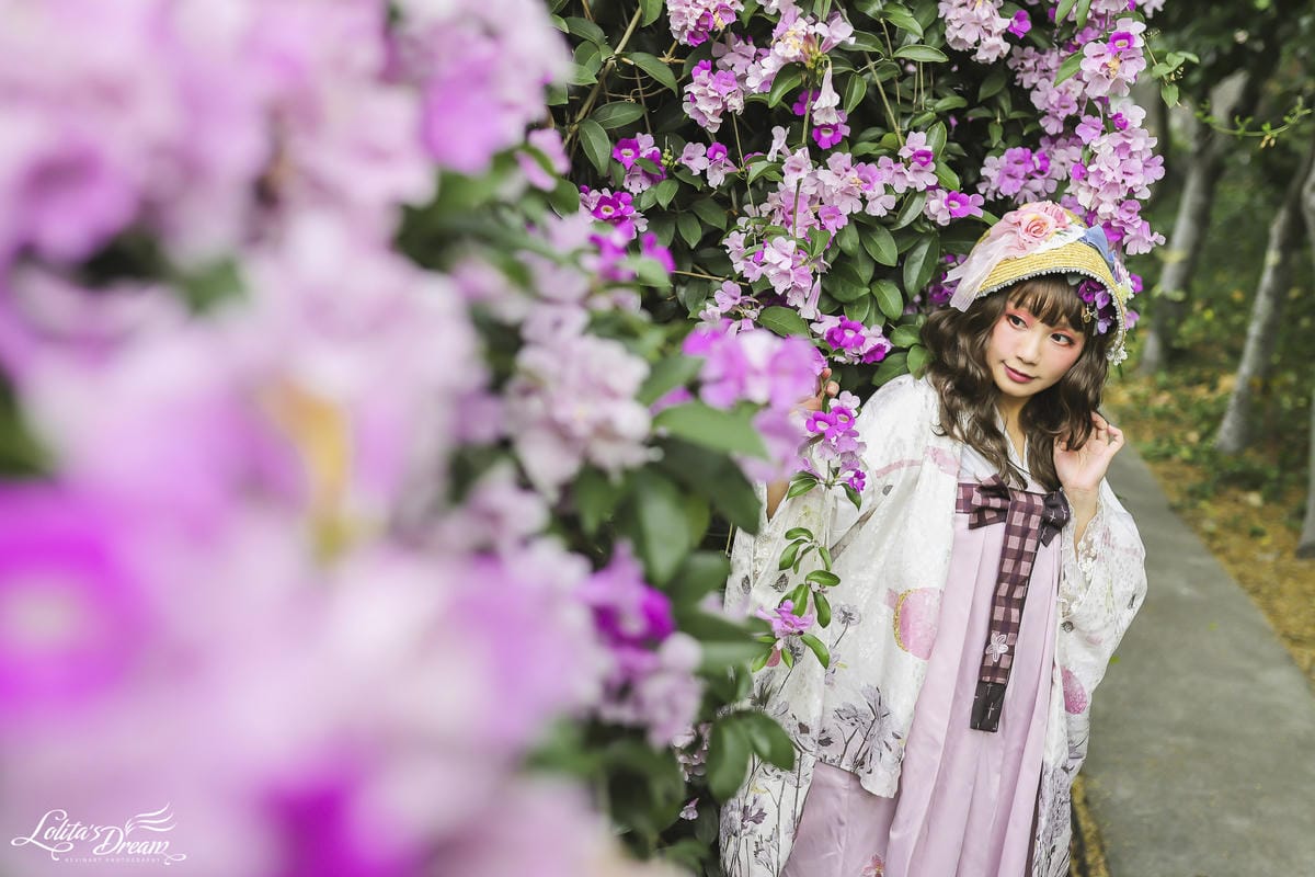 泰山蒜香藤 泰山蒜香藤