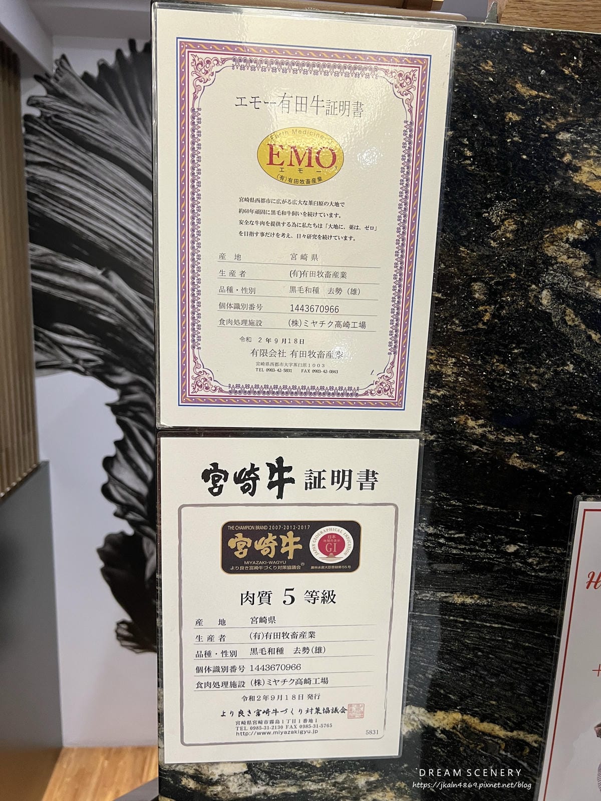 二本松涮涮屋-Er BEN SONG SHABU0