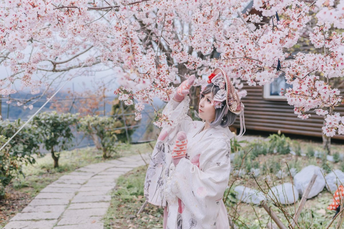 2023 拉拉山櫻花季