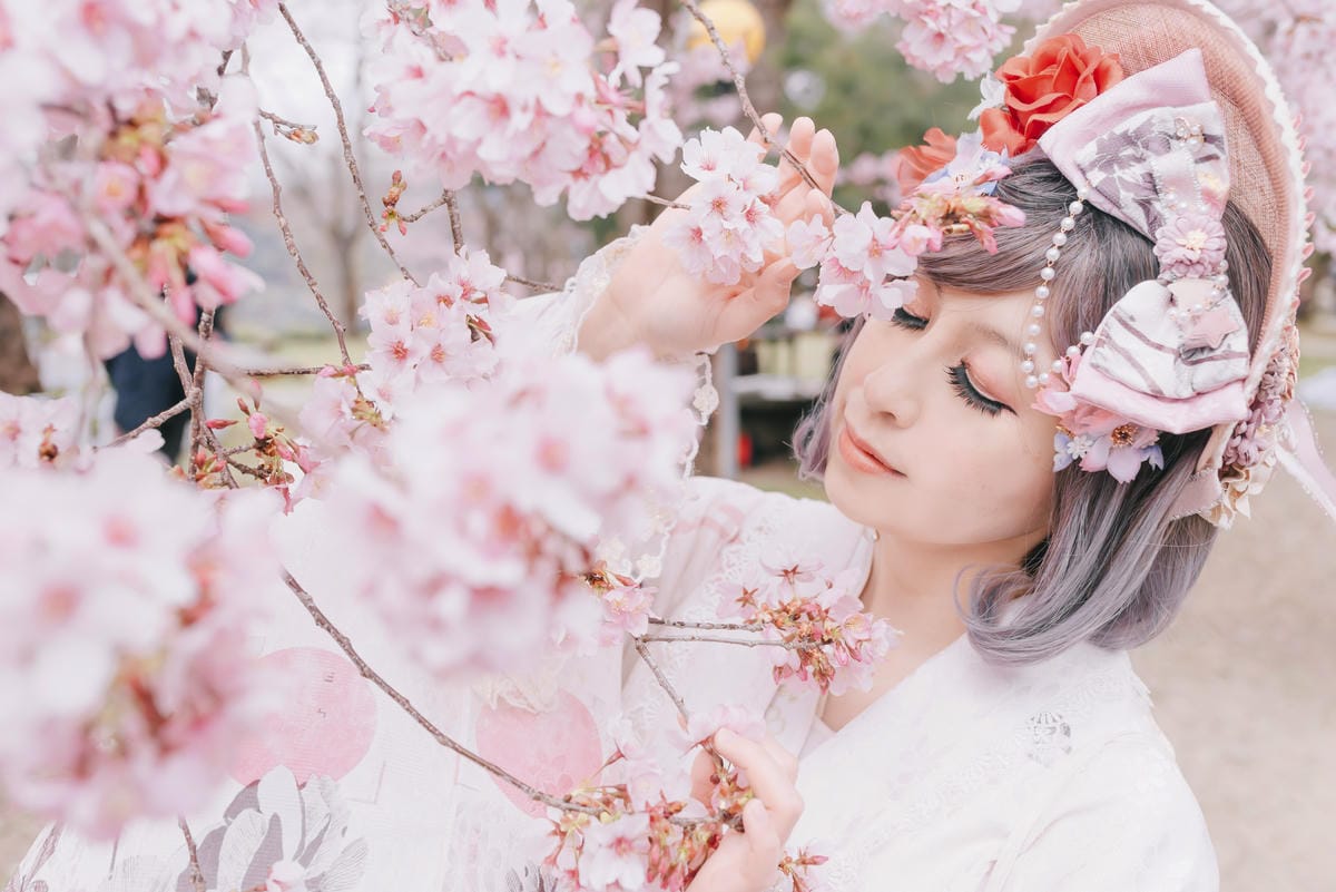 2023 拉拉山櫻花季