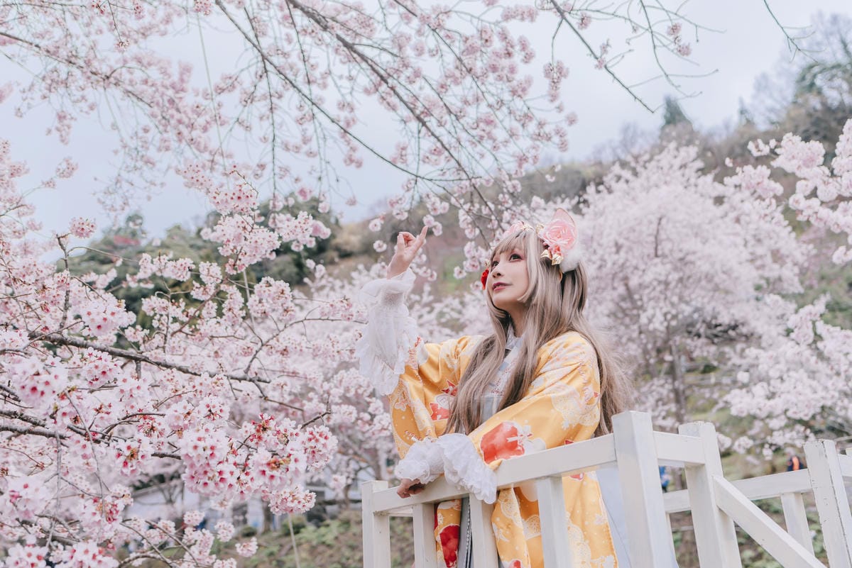 2023 拉拉山櫻花季