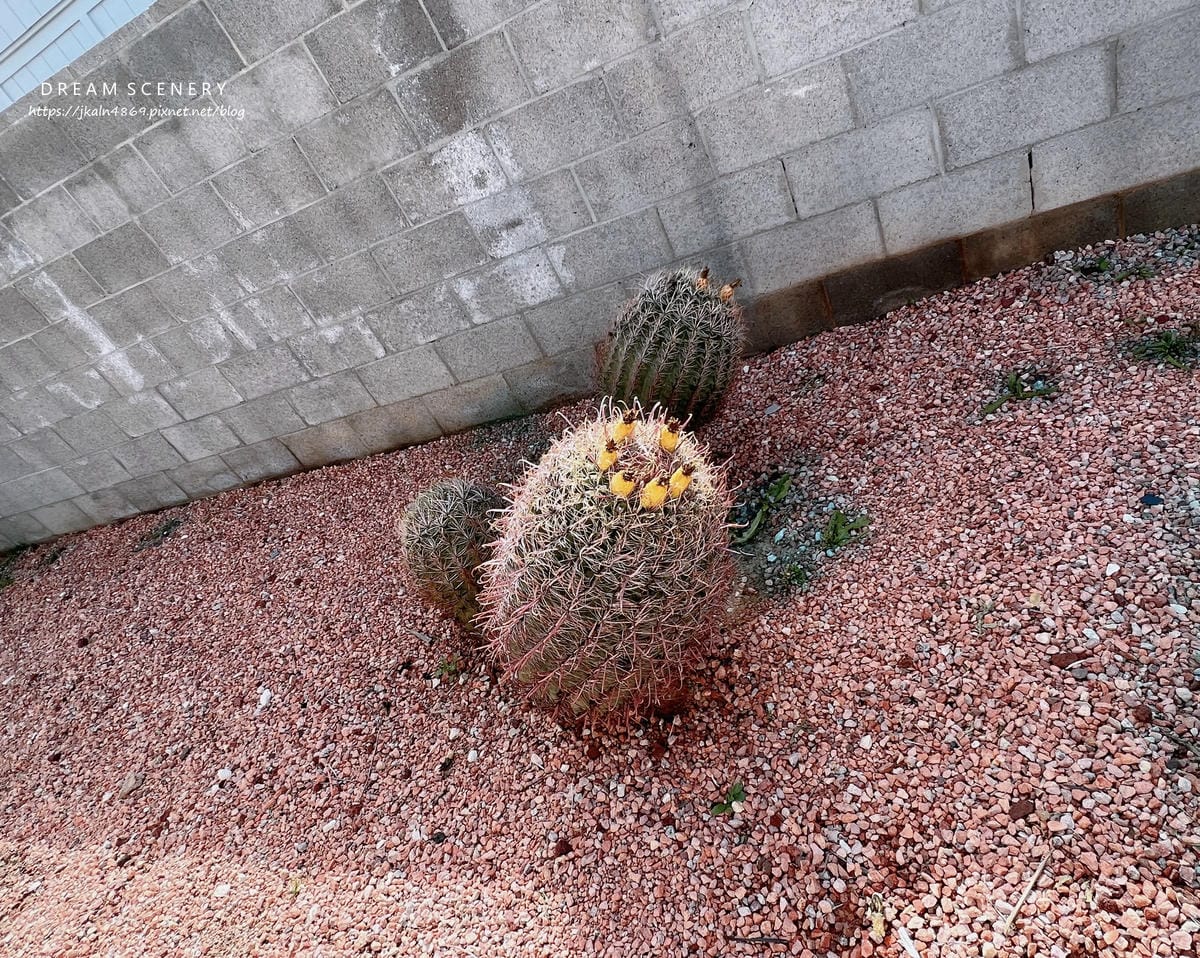 【美國-Arizona】2023 亞利桑那州找房紀錄-Sin 【美國-Arizona】2023 亞利桑那州找房紀錄-Sin
