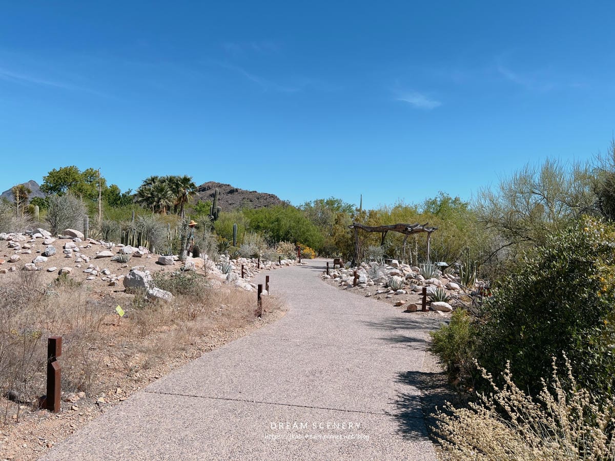 Arizona-Sonora Desert Museum Arizona-Sonora Desert Museum