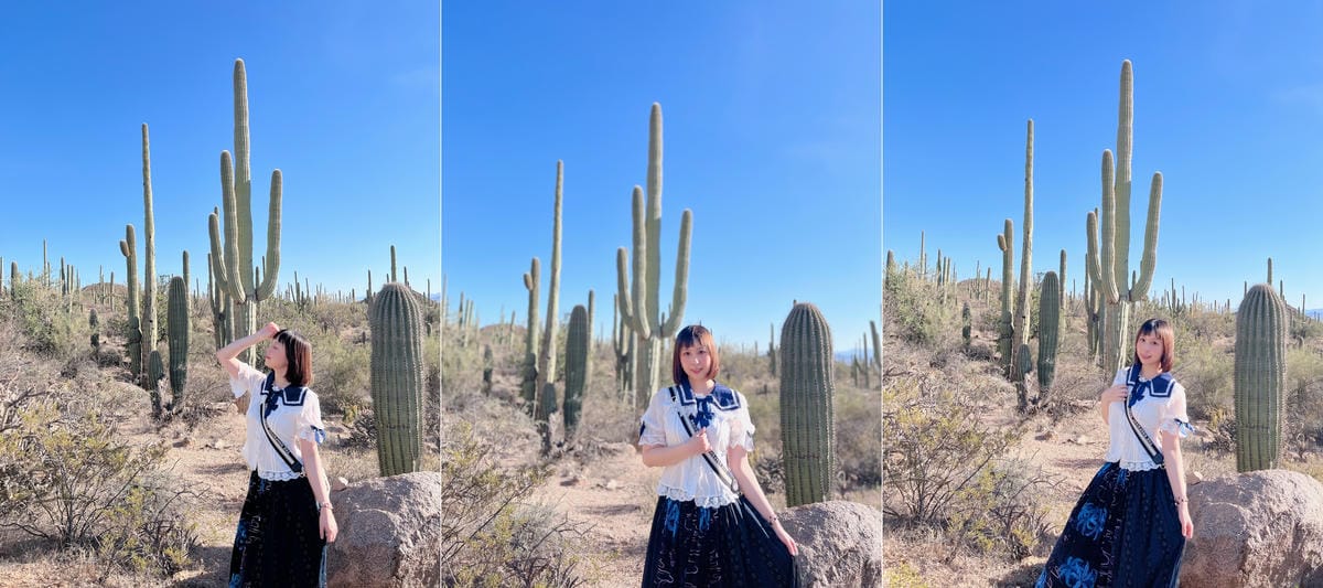 Saguaro National Park Saguaro National Park