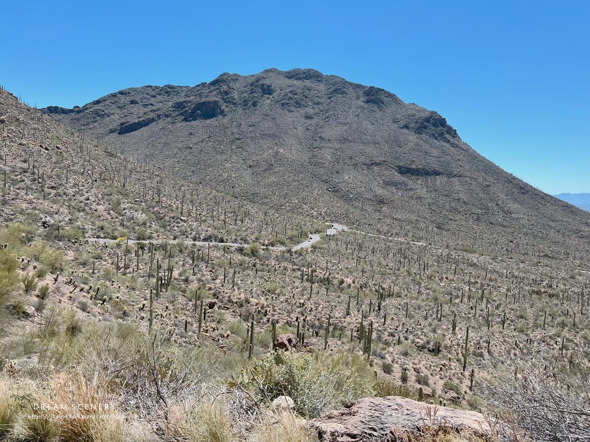 Saguaro National Park Saguaro National Park