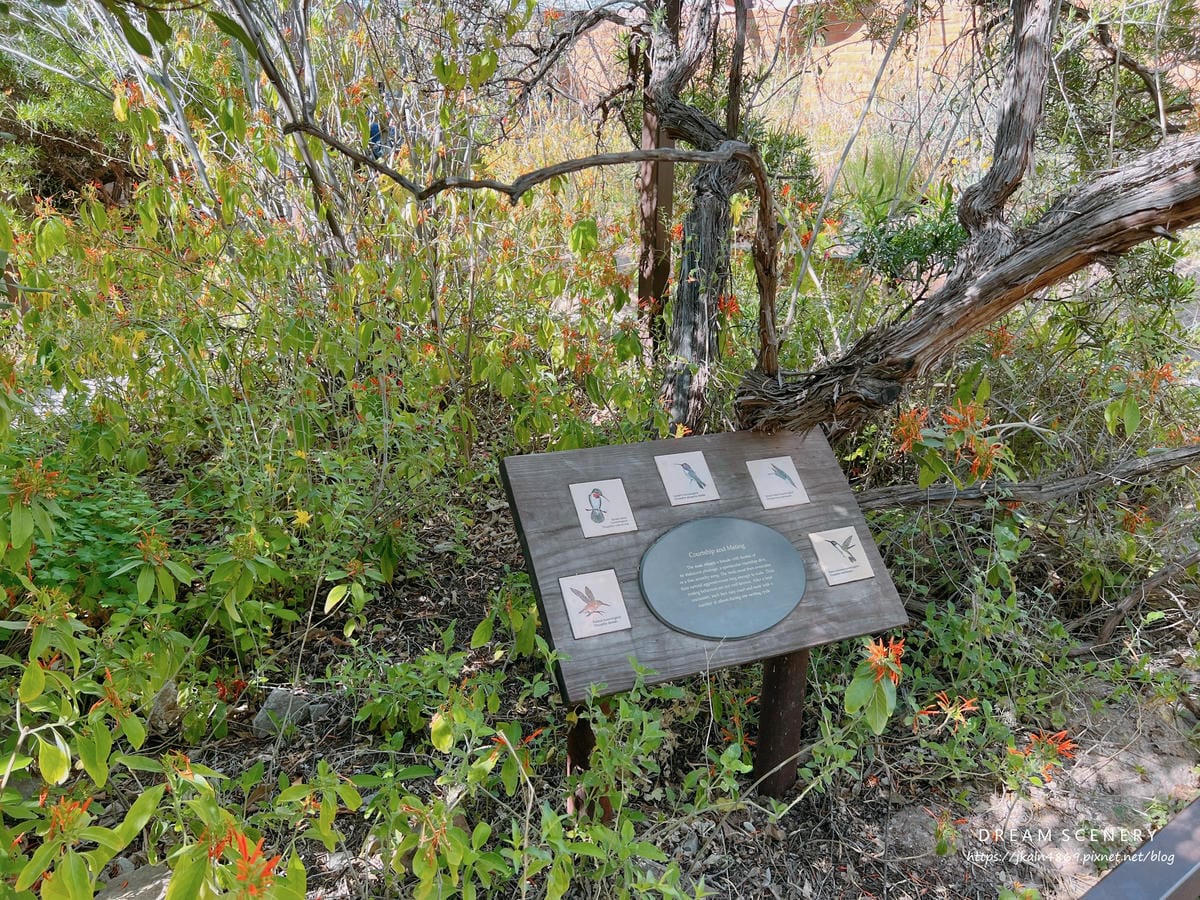 Arizona-Sonora Desert Museum Arizona-Sonora Desert Museum