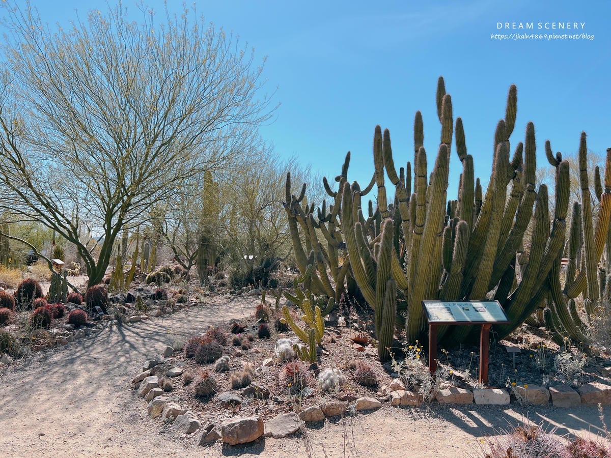 Arizona-Sonora Desert Museum Arizona-Sonora Desert Museum