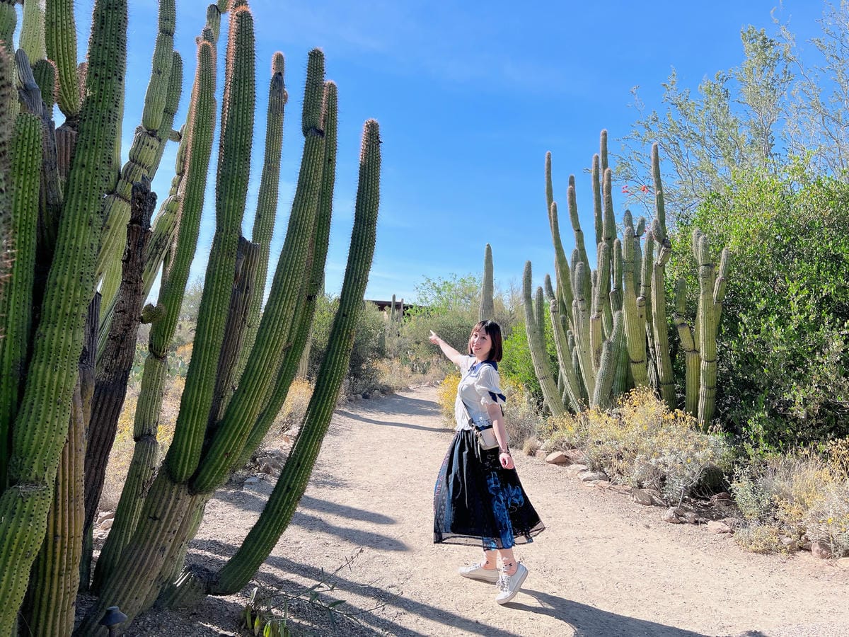 Arizona-Sonora Desert Museum Arizona-Sonora Desert Museum