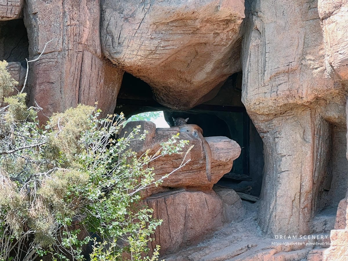 Arizona-Sonora Desert Museum Arizona-Sonora Desert Museum