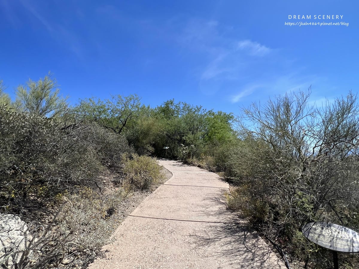 Arizona-Sonora Desert Museum Arizona-Sonora Desert Museum