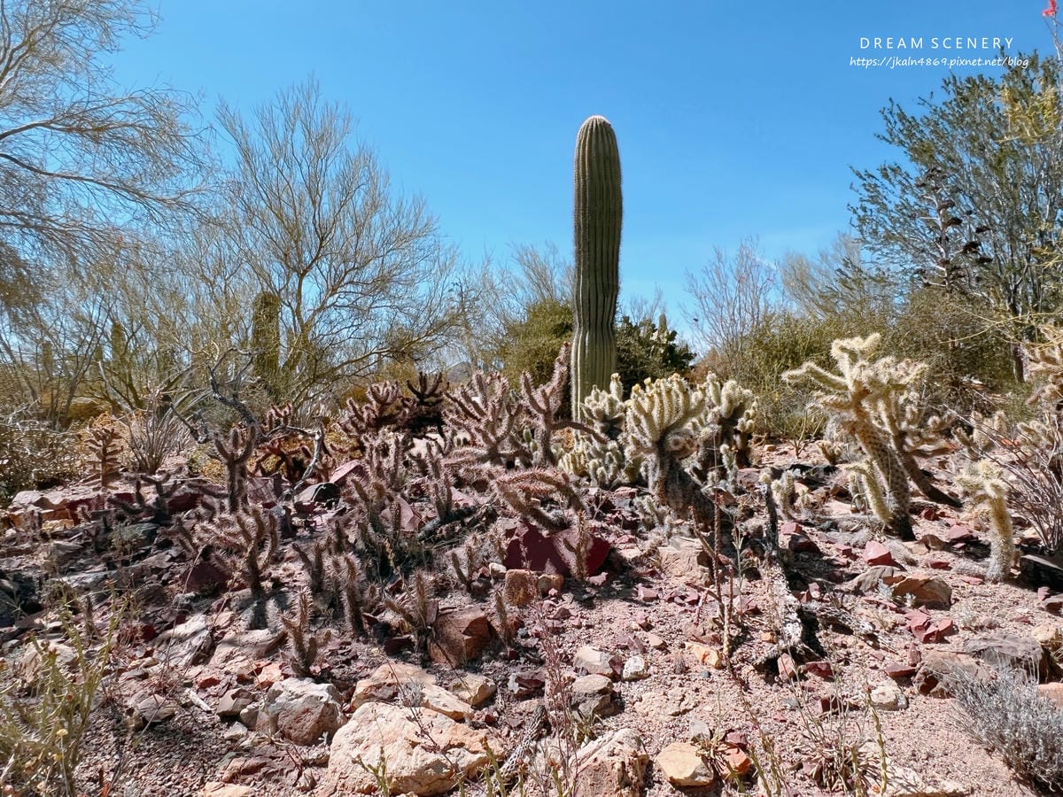 Arizona-Sonora Desert Museum Arizona-Sonora Desert Museum