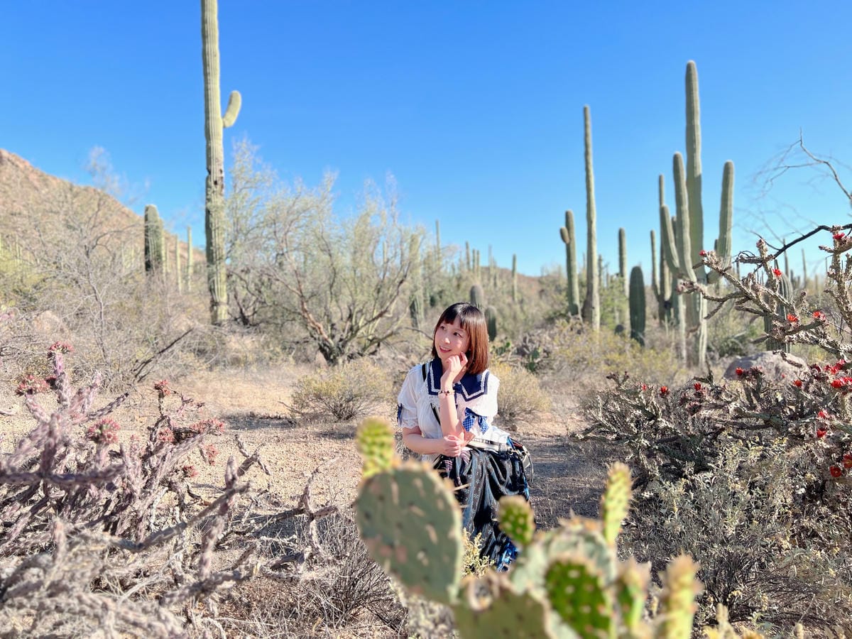 Saguaro National Park Saguaro National Park
