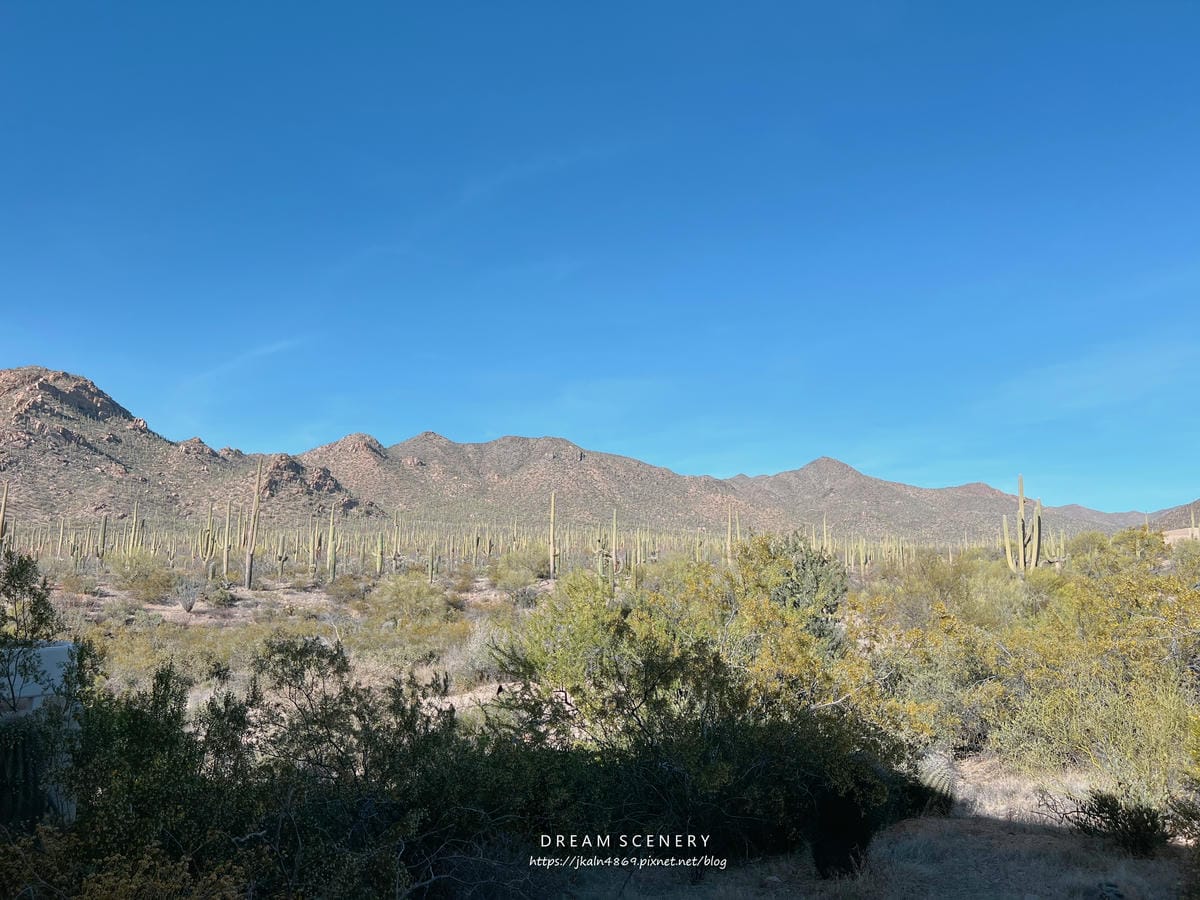 Saguaro National Park Saguaro National Park
