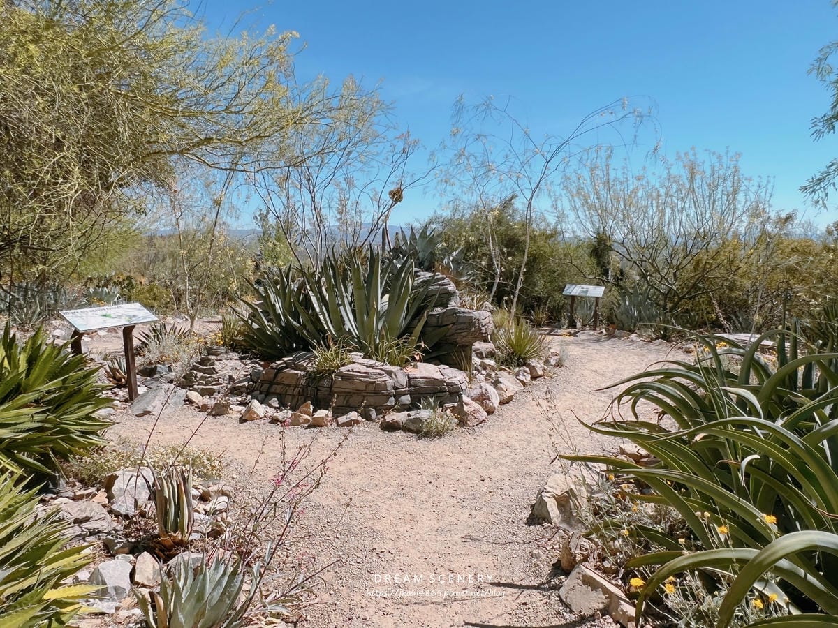 Arizona-Sonora Desert Museum Arizona-Sonora Desert Museum