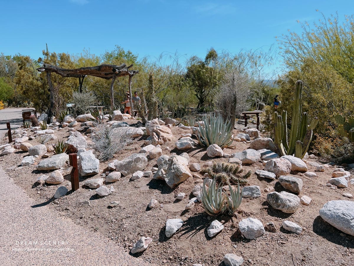 Arizona-Sonora Desert Museum Arizona-Sonora Desert Museum