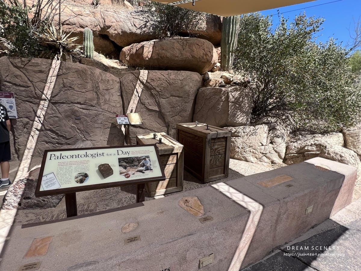 Arizona-Sonora Desert Museum Arizona-Sonora Desert Museum