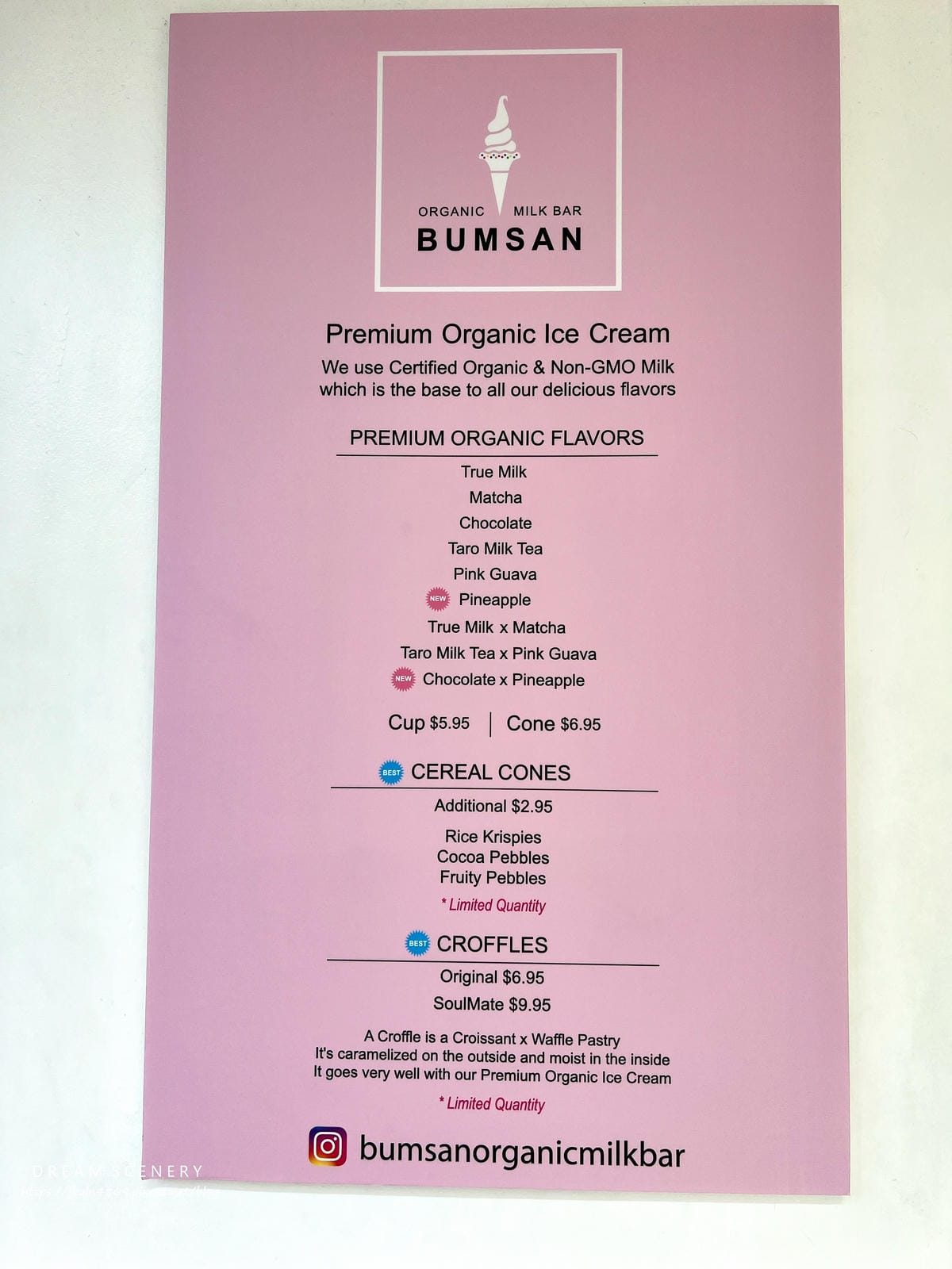 【美國-Los Angeles】韓國連鎖霜淇淋店│Bumsa 【美國-Los Angeles】韓國連鎖霜淇淋店│Bumsa