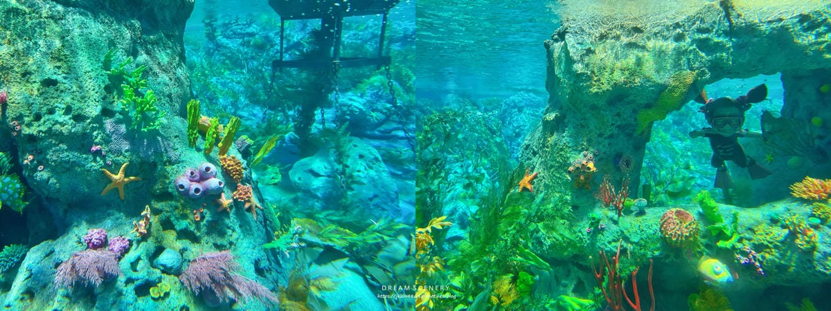 2023 迪士尼樂園 (Disneyland Park) 2023 迪士尼樂園 (Disneyland Park)