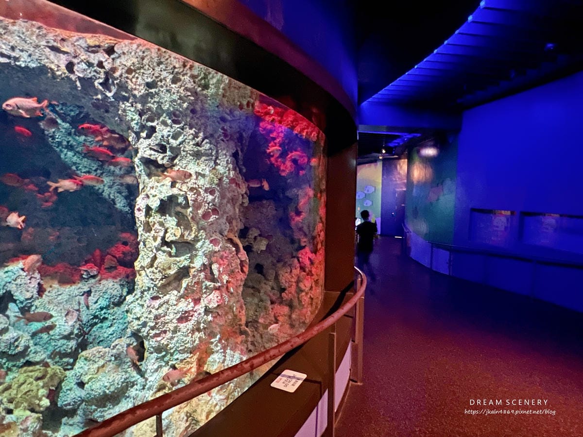 S.E.A AQUARIUM