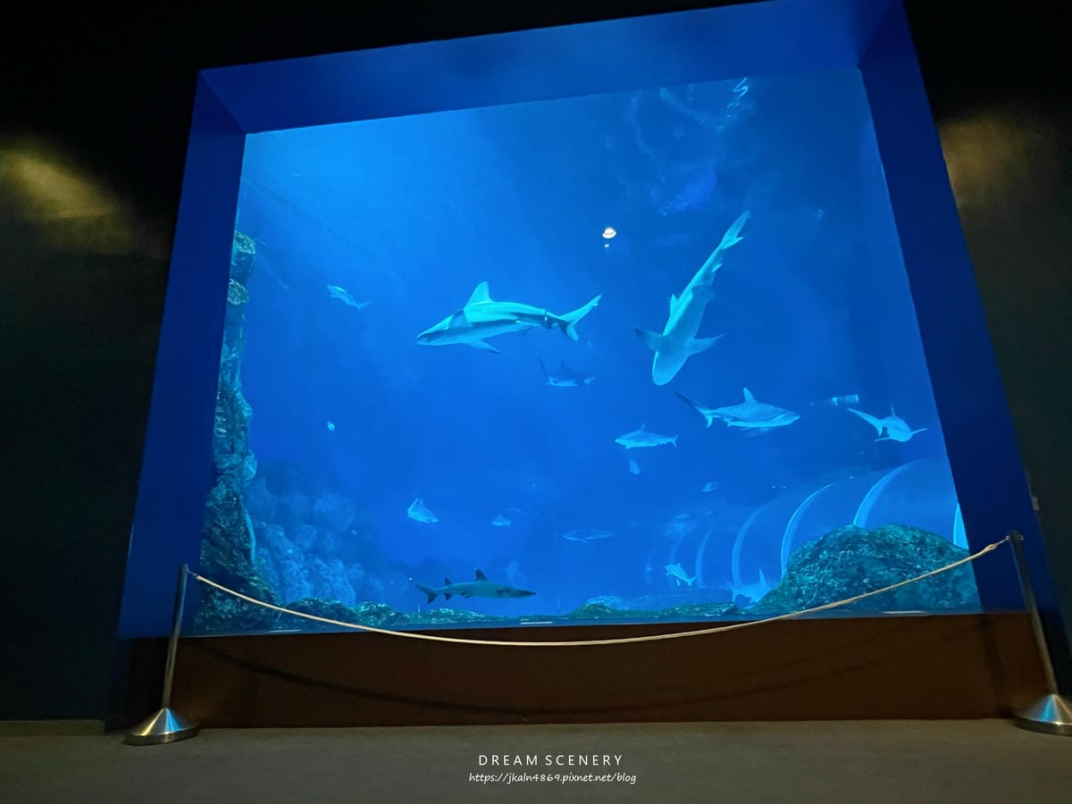 S.E.A AQUARIUM