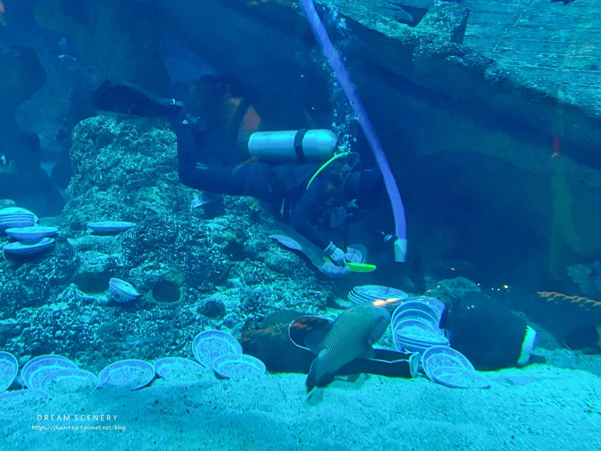S.E.A AQUARIUM