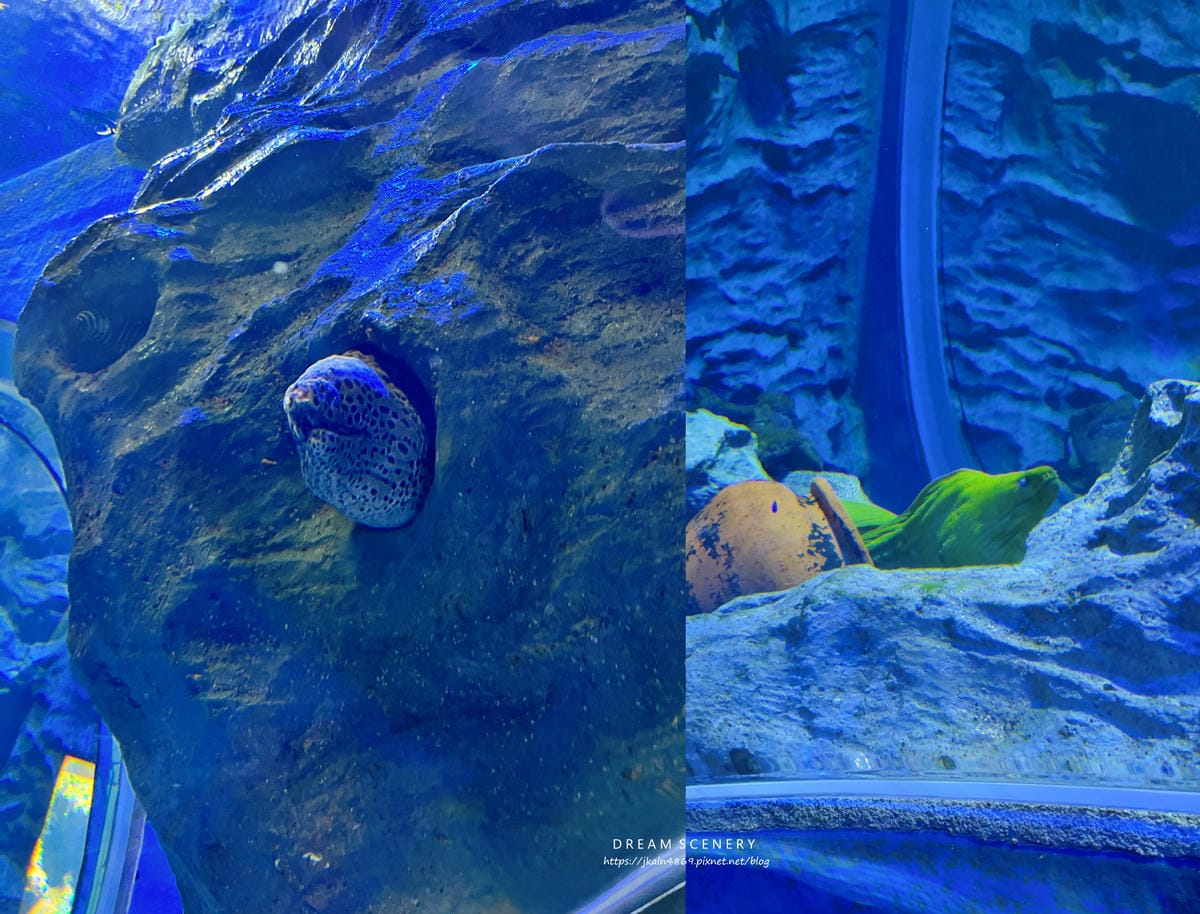 S.E.A AQUARIUM