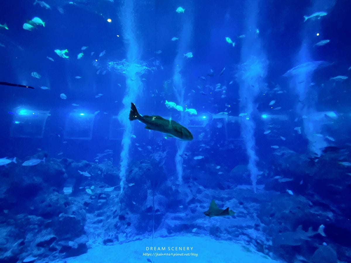 S.E.A AQUARIUM