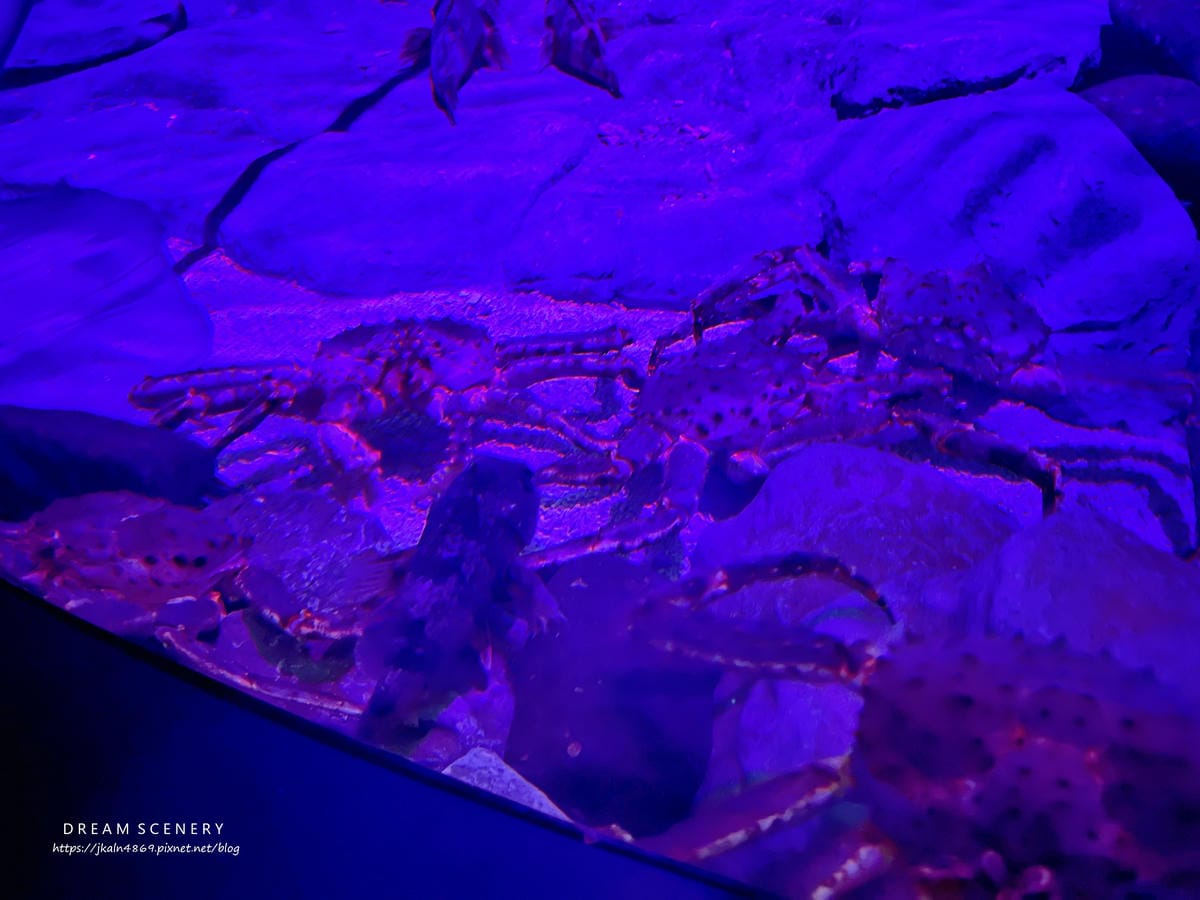 S.E.A AQUARIUM
