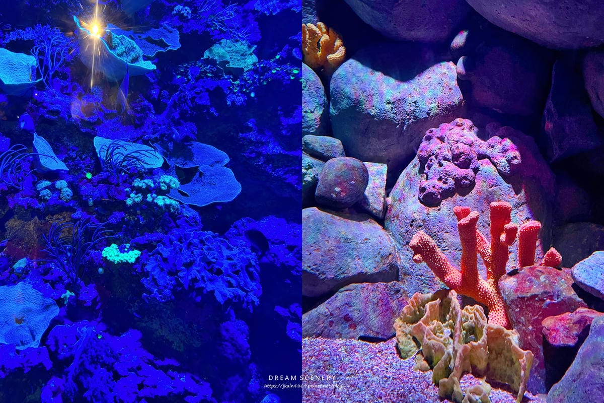 S.E.A AQUARIUM