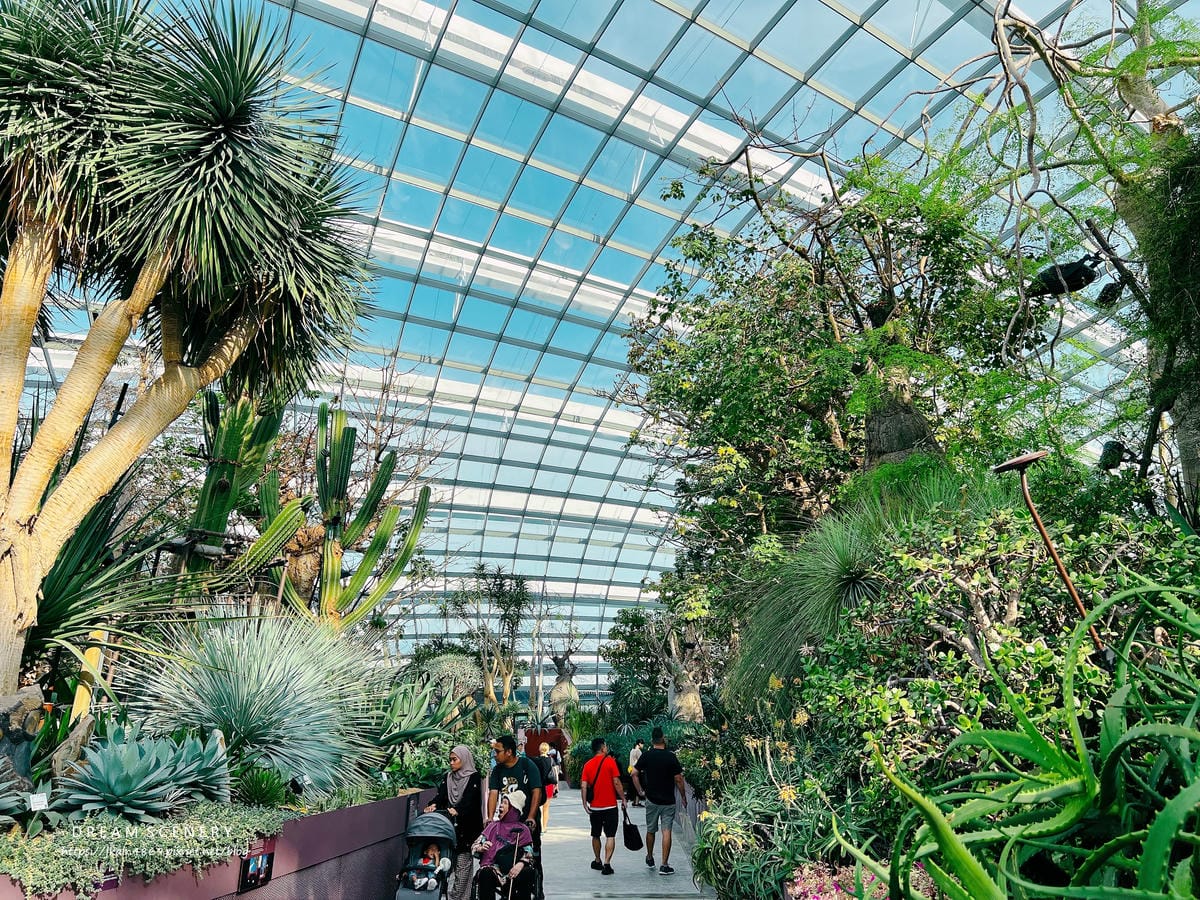 濱海灣花園